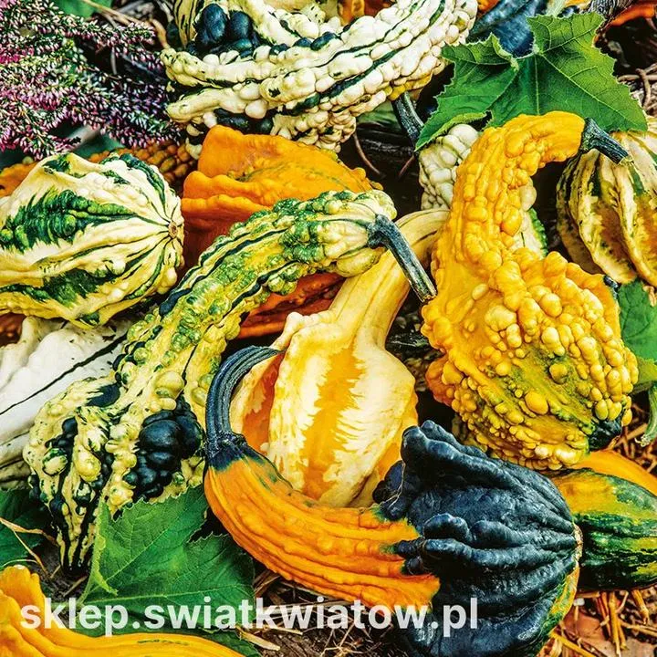 Jak długo piec dynię, by zupa była idealnie miękka i smaczna?