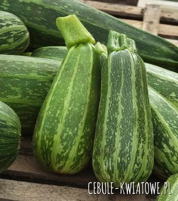 Odmiany dyni do zupy