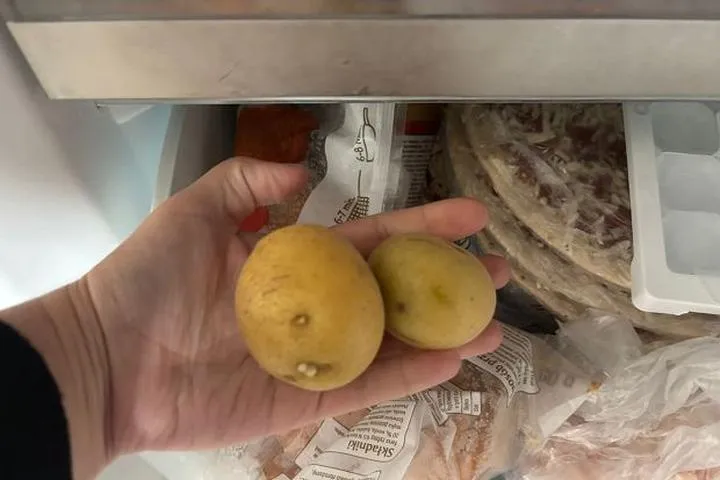 Przechowywanie zamrożonych frytek